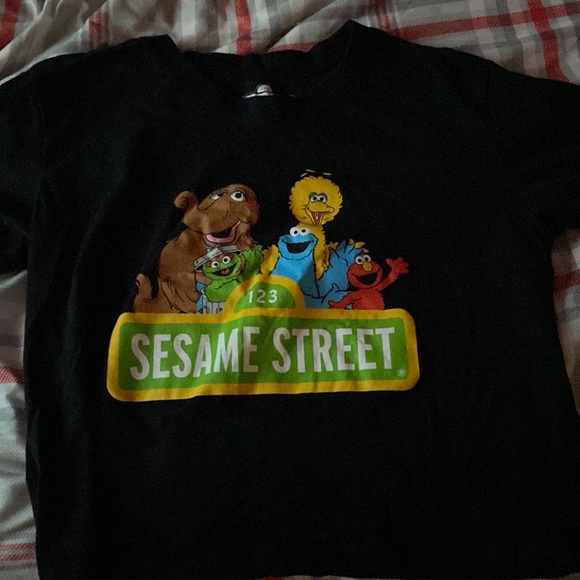 Sesame Street Cropped Tee from Blue Notes - Picture 1 of 1